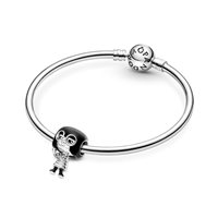 Charm Pandora Donna in Argento 792026C01 - 792026C01